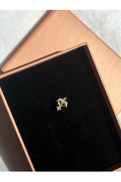 NATURE Cerrahi Çelik Zirkon Taşlı Arkası Düz Eros Ok Piercing,Tragus, Helix, Kıkırdak.