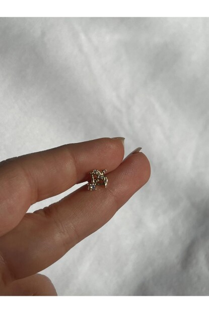 NATURE Cerrahi Çelik Zirkon Taşlı Arkası Düz Eros Ok Piercing,Tragus, Helix, Kıkırdak.