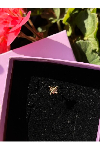 NATURE Cerrahi Çelik Zirkon Taşlı Arkası Toplu Kuzey Yıldızı Piercing,Tragus, Helix, Kıkırdak.